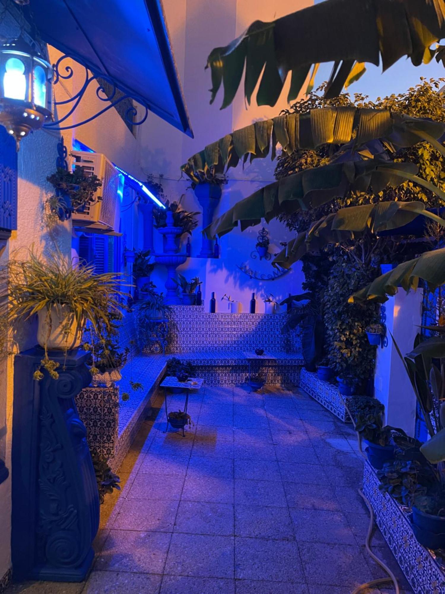 The Blue And White Perle Villa Sidi Bou Ali Dış mekan fotoğraf