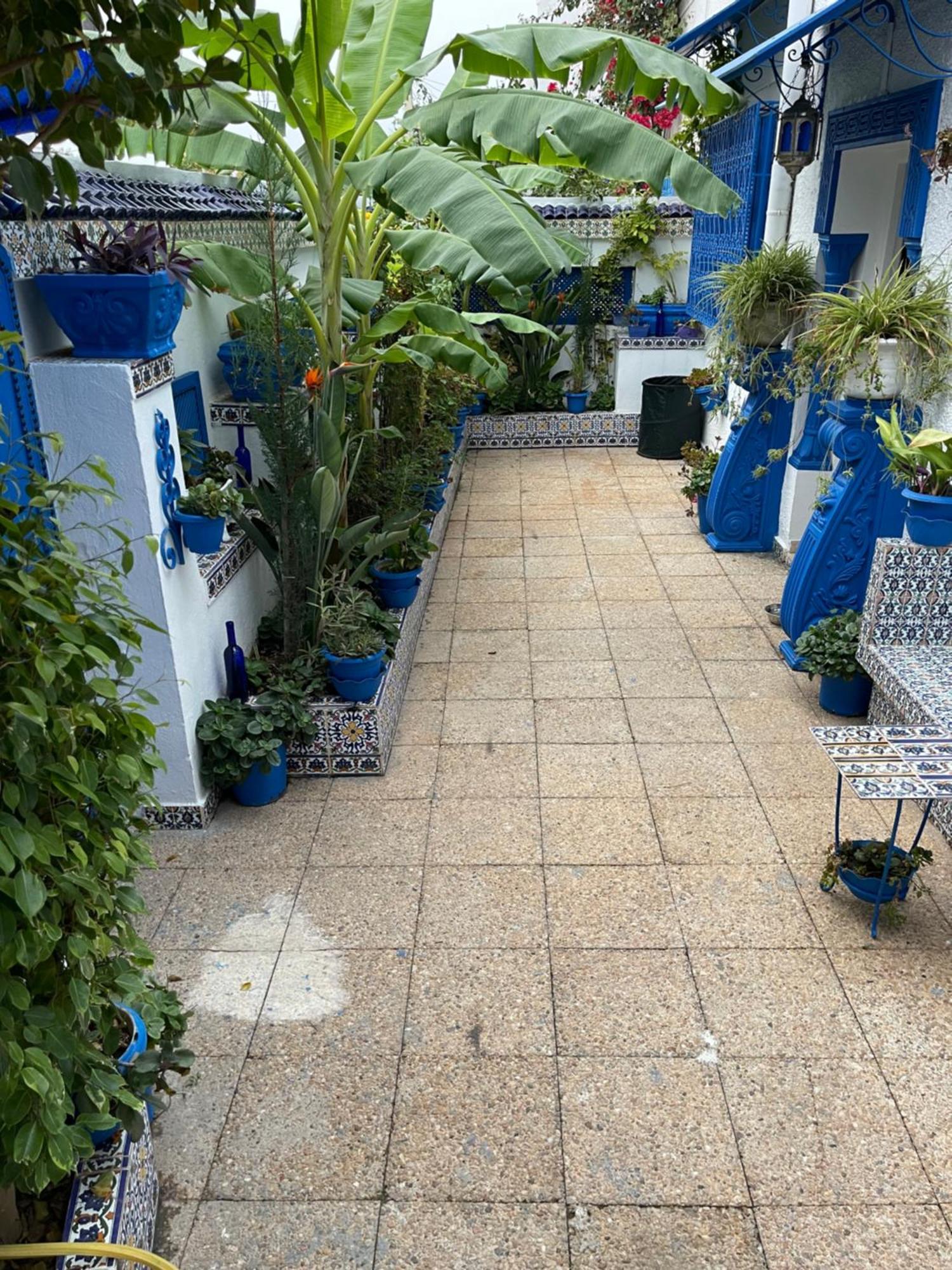 The Blue And White Perle Villa Sidi Bou Ali Dış mekan fotoğraf