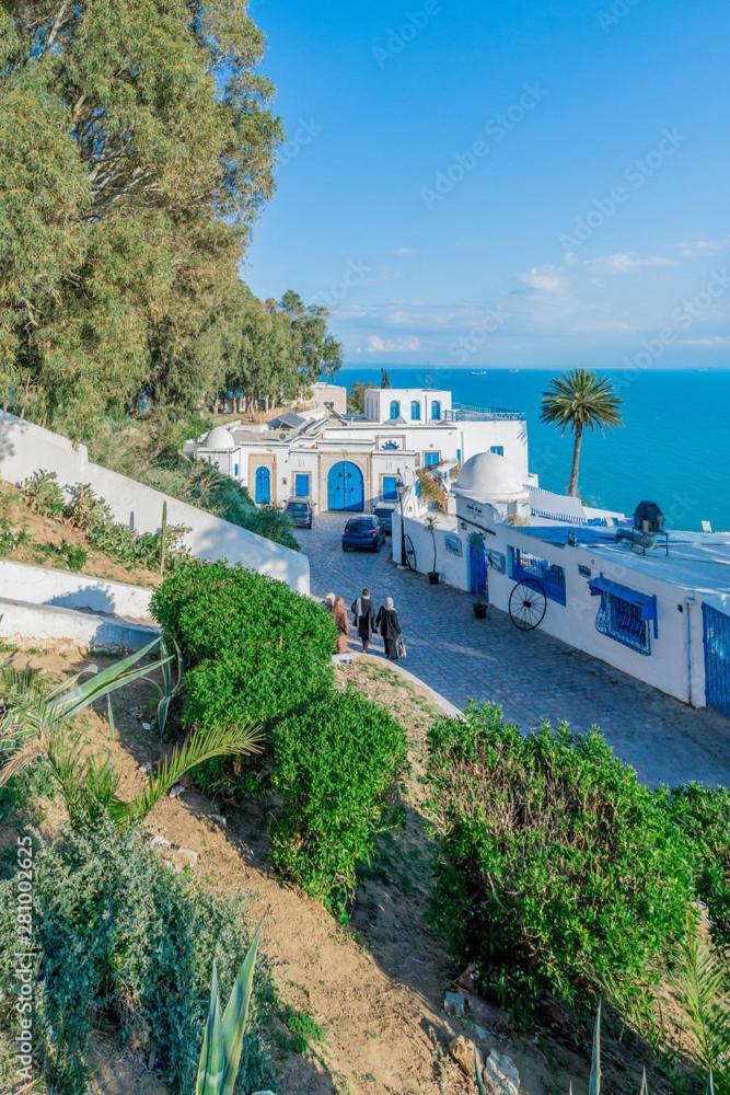 The Blue And White Perle Villa Sidi Bou Ali Dış mekan fotoğraf