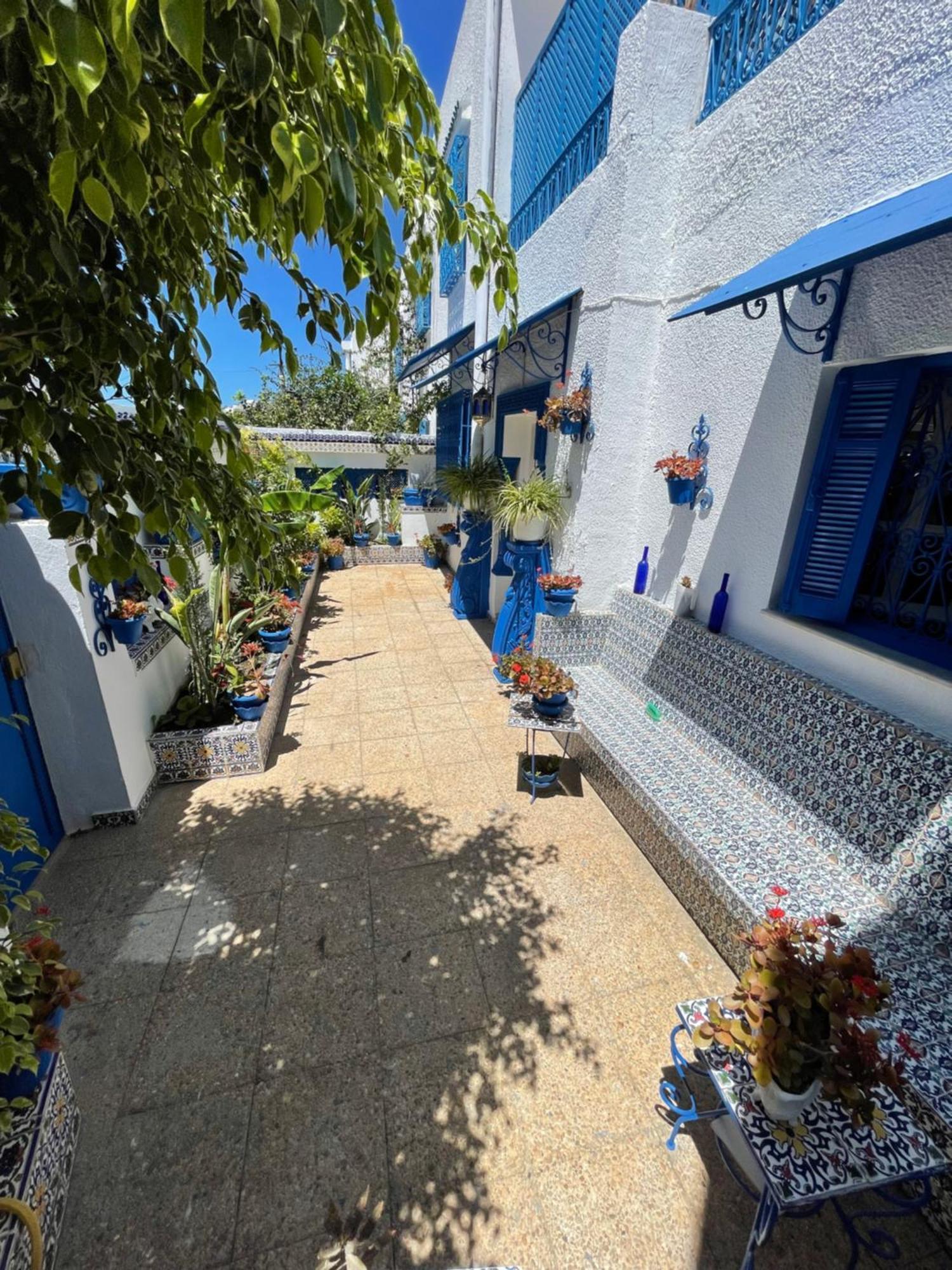 The Blue And White Perle Villa Sidi Bou Ali Dış mekan fotoğraf