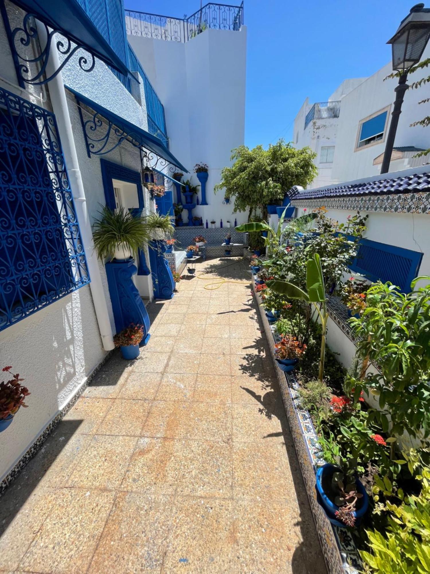 The Blue And White Perle Villa Sidi Bou Ali Dış mekan fotoğraf